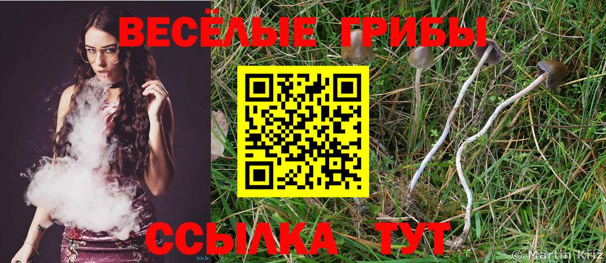 купить наркоту  Вход с VPN  Мыски  Галлюциногенные грибы прущие грибы 