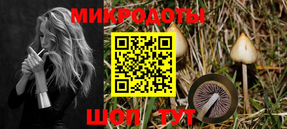 Галлюциногенные грибы GOLDEN TEACHER Мыски