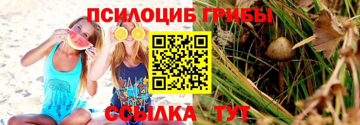 MDMA Мыски